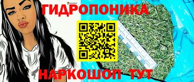 не бодяженный Бердск