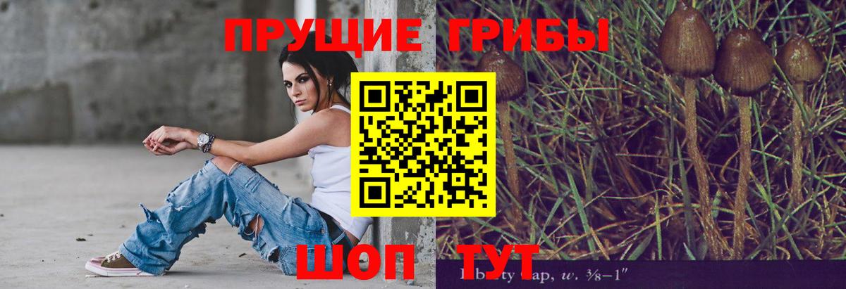 Галлюциногенные грибы GOLDEN TEACHER Алушта